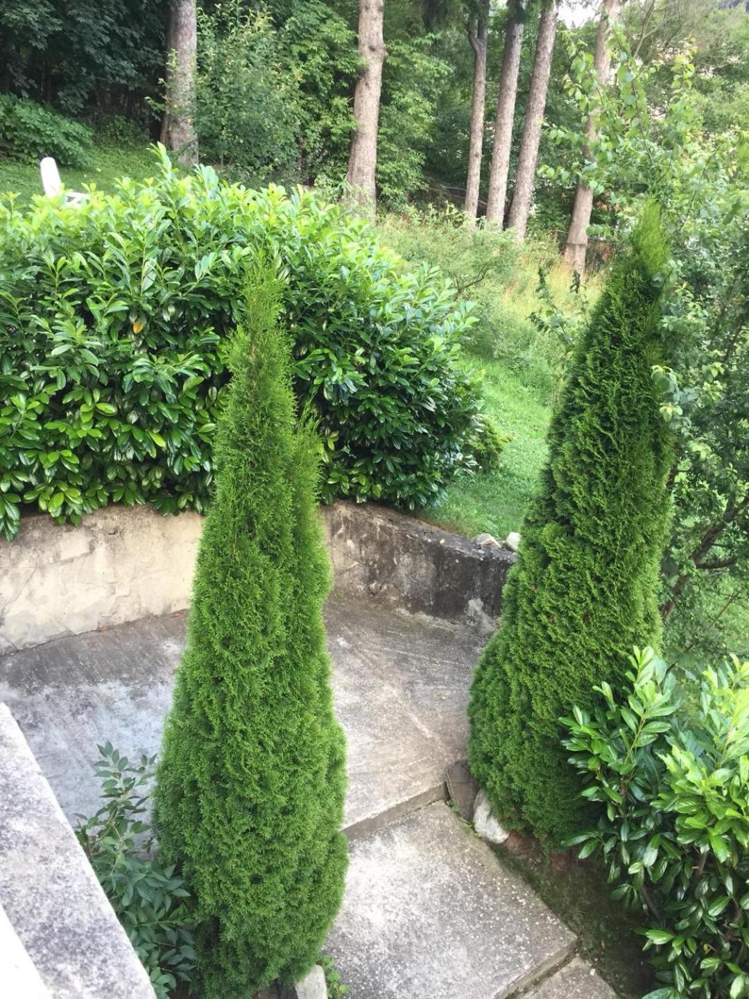 Il Piccolo Castello Buşteni Dış mekan fotoğraf