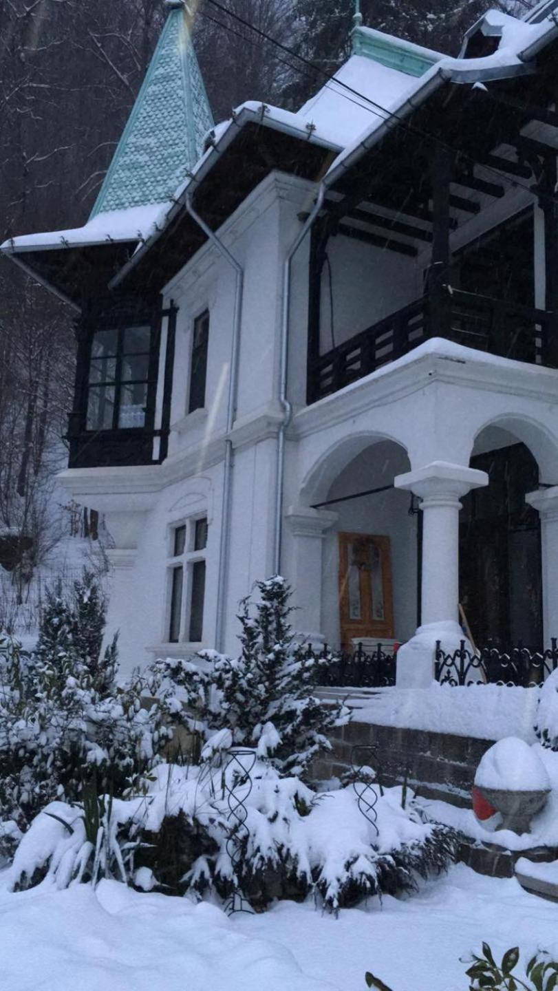 Il Piccolo Castello Buşteni Dış mekan fotoğraf