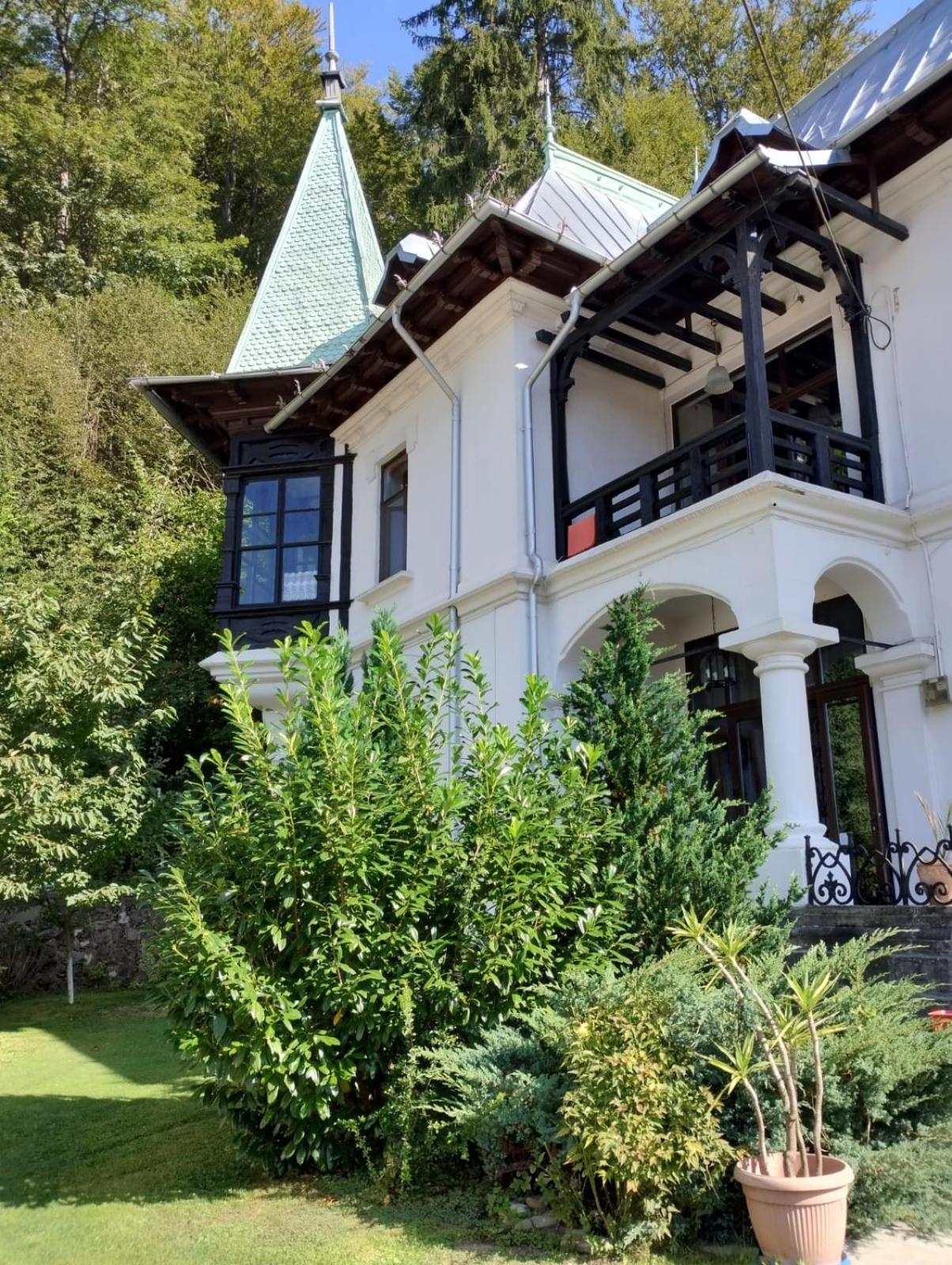 Il Piccolo Castello Buşteni Dış mekan fotoğraf