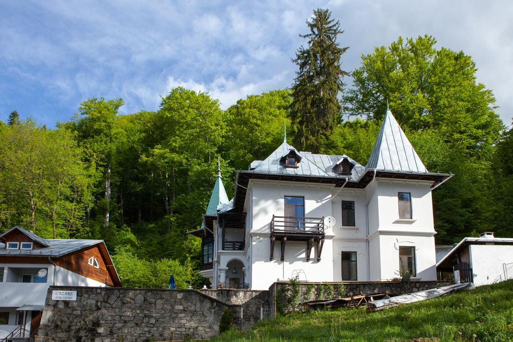 Il Piccolo Castello Buşteni Dış mekan fotoğraf